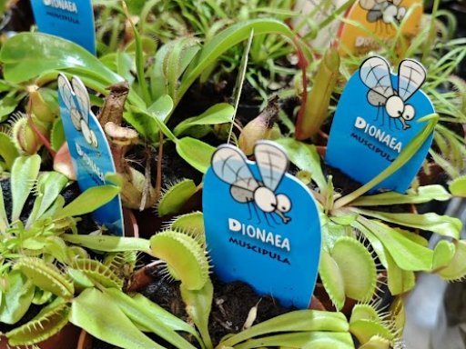 Botanická burza